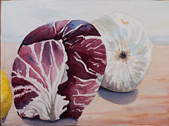 watercolor painting by debbie homewood of a cabbage and an onion